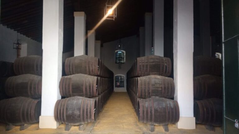 Jerez de la Frontera: Sherry Winery Tour with Tasting - An In-Depth Review of the Sherry Winery Tour