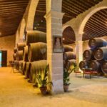 Jerez: Guided Winery Tour with Wine Tasting - Who Will Love This Tour?