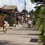 Joao Pessoa Northern Coast Beaches Day Tour - Intermares and the Sea Turtle Nesting Area