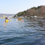 Jørpeland: Guided fjordtour kayak - Final Thoughts: Who Will Love This Experience?