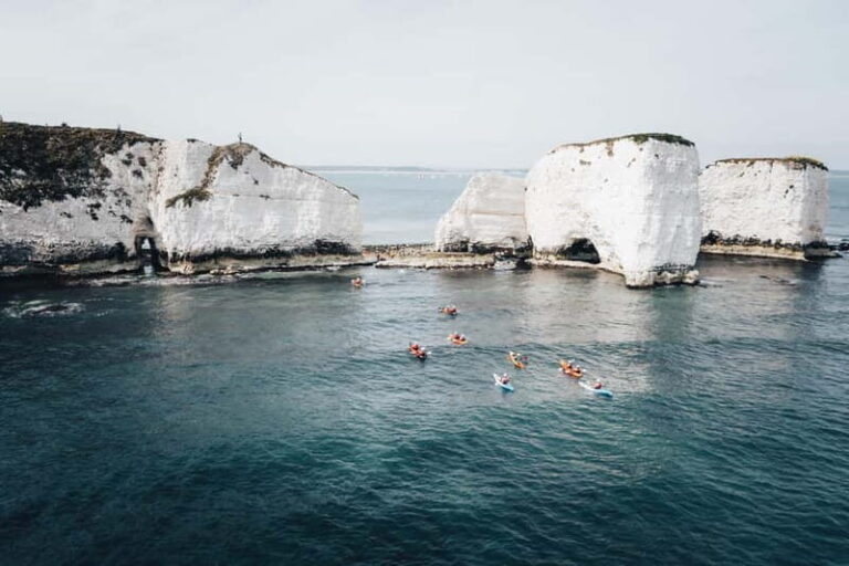 Jurassic Coast Kayaking Tour to Old Harry Rocks - The Guides and Equipment