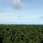 Jurmala sunset tour - Final Thoughts