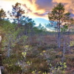 Jurmala,Kuldiga,Ragaciems Beach, Kemeri N park, Food & Drink - Exploring Each Stop in Detail