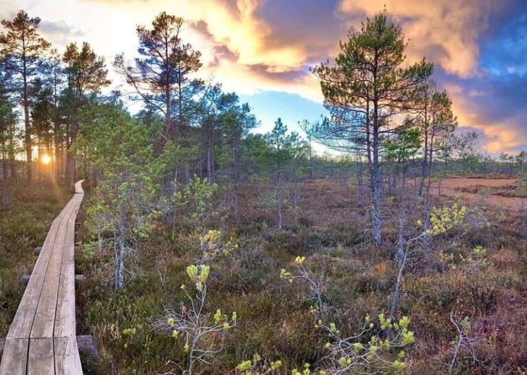 Jurmala,Kuldiga,Ragaciems Beach, Kemeri N park, Food & Drink - Exploring Each Stop in Detail