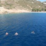 Kalymnos, Pserimos & Plati Island Cruise with Hotel Transfer - Authentic Experiences and Traveler Insights
