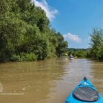 Kamchia river kayaking day tour - Why You Should Book This Kayaking Adventure