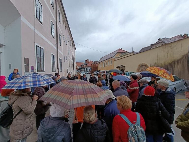 Kamnik: Guided City Tour with drink - FAQ