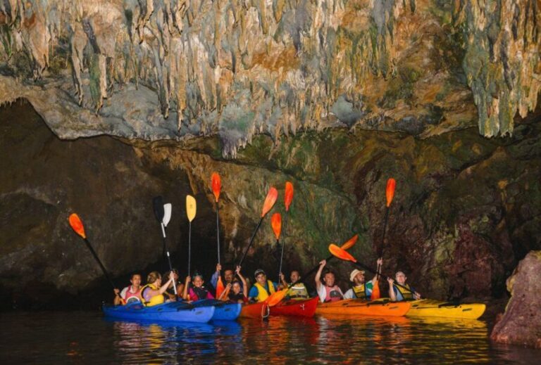 Kardamyli: Sea Kayaking With Lunch - Who Should Join This Tour?