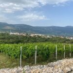 Kastela: Wine & Olive Tasting Tour w/Delicacies & Live Music - Who Will Appreciate This Tour Most?