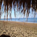 Katakolo: Ancient Olympia and Kourouta Beach Guided Tour - The Practical Details That Matter