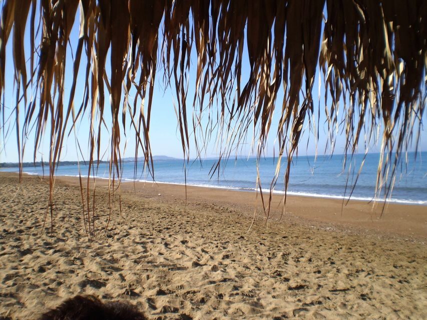 Katakolo: Ancient Olympia and Kourouta Beach Guided Tour - The Practical Details That Matter