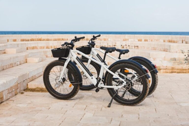Katakolo: E-bike Rental - The Itinerary: What You Can Expect