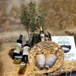 Katela / Kastel Luksic: Organic Olive Oil Tasting Tour - Authenticity and Quality