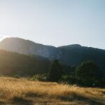 Katerini: Mount Olympus and Dion Minibus Tour - The Highlights: What You’ll See and Do