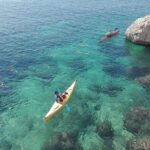 Kayak Adventure - The Real Experience: Insights from Reviews