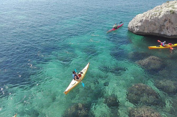 Kayak Adventure - The Real Experience: Insights from Reviews