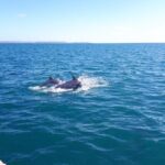 Kayak Algarve tour BENAGIL by Diamond tours - Frequently Asked Questions