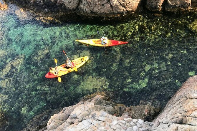 Kayak excursion in Playa de Aro - Pricing and Value for Money