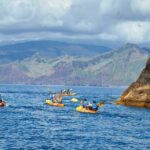 Kayak Experience @ Ponta de São Lourenço - Who Will Love This Tour?