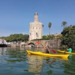 Kayak Guided Tours - What the Tour Entails