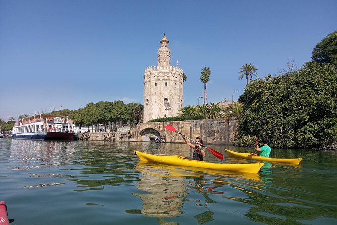 Kayak Guided Tours - What the Tour Entails