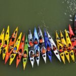 Kayak tour in Seville - Authentic Traveler Insights