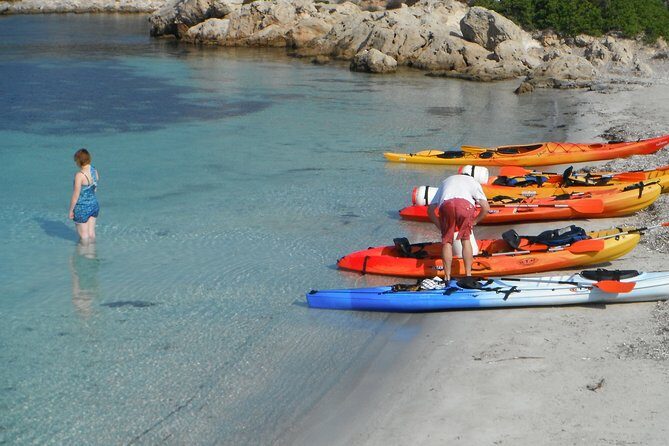 Kayak Tour in the Marine Reserve ! - The Practicalities and Value