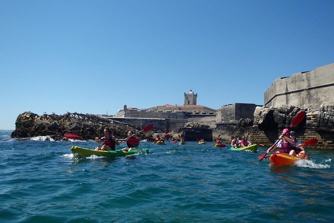 Kayak Tour of Lisbon - Who Would Love This Tour