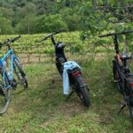 Kefalonia Wine Tour on E-Bikes - Practical Aspects That Matter