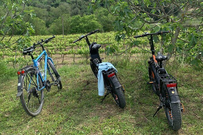 Kefalonia Wine Tour on E-Bikes - Practical Aspects That Matter