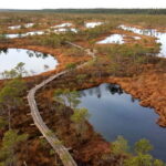 Kemeri National Park & Baltic Seaside Tour Bog Boardwalk - Who Will Love This Tour?