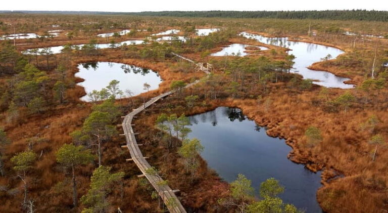 Kemeri National Park & Baltic Seaside Tour Bog Boardwalk - Who Will Love This Tour?