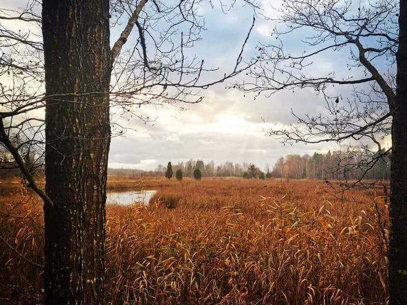 Kemeri National Park Outdoor Tour - Exploring Kanieris Lake: Birdwatcher’s Paradise
