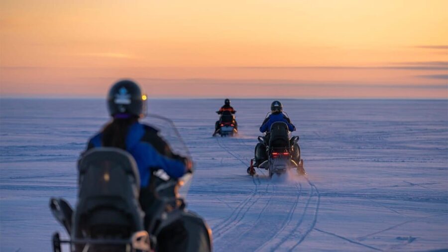 Kemi-Tornio: Snowmobile Forest Safari w/ Hot Drink & Snacks - Who Will Love This Tour?