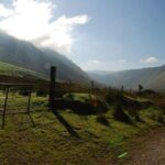 Kerry Highlights Day Tour from Dublin - Muckross House and Gardens