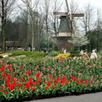 Keukenhof and Flower Fields Private Tour from Amsterdam - The Practical Side