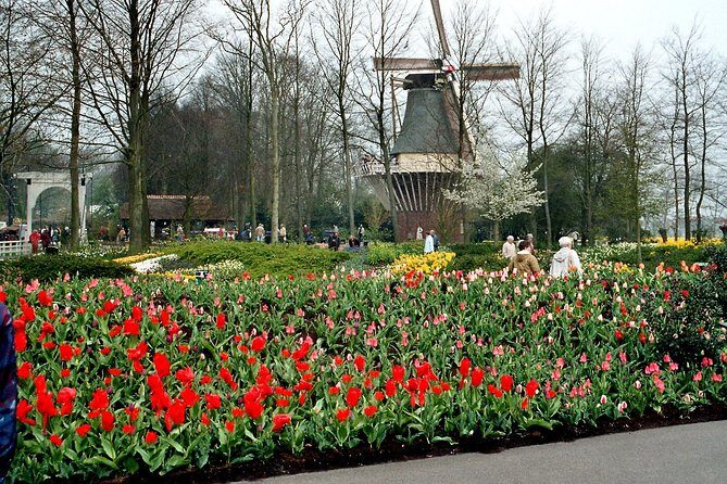 Keukenhof and Flower Fields Private Tour from Amsterdam - The Practical Side