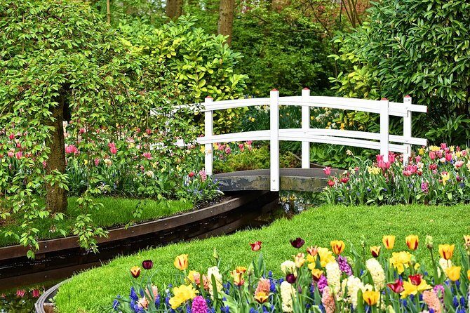 Keukenhof Gardens and Tulips Private Tour from Amsterdam - The Itinerary in Detail