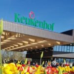 Keukenhof Skip-the-line Tickets: Countryside & Farm Private Tour - Final Thoughts: Who Will Love This Tour?
