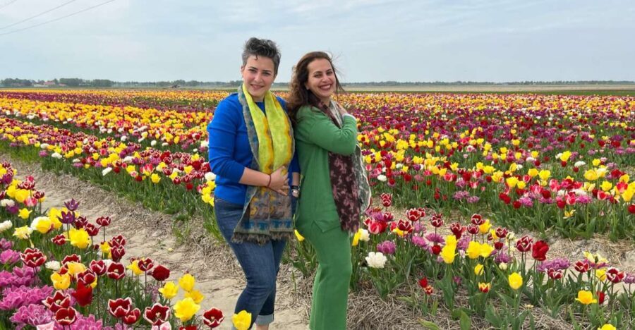 Keukenhof, Tulip Farm, Flower Fields & Windmills - Who is this tour best for?