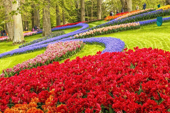 Keukenhof Tulip Garden Tour - Who Should Book This Tour?