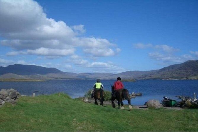 Killarney National Park Horseback Ride. Co Kerry. Guided. 2 hours. - Why This Tour Is Worth Considering