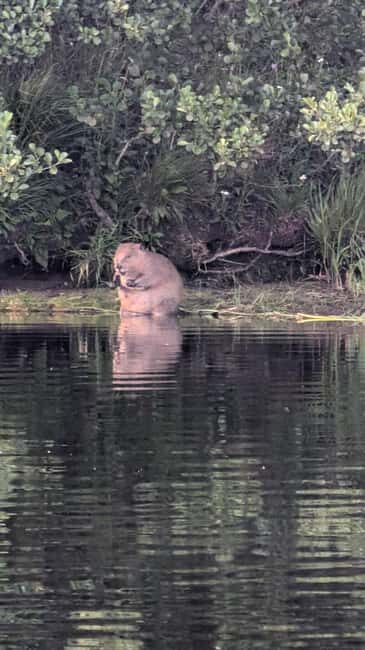 Killin: Loch Tay Beaver Canoe Tour - Who Should Consider This Tour?