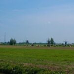 Kinderdijk Area Cycling Tour - FAQs