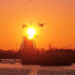 Kinderdijk Photography tour - Why This Tour Works Well