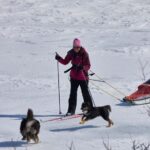 Kiruna: Cross-Country Skiing Tour with a Guide - The Landscape and Trail Options