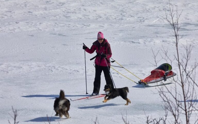 Kiruna: Cross-Country Skiing Tour with a Guide - The Landscape and Trail Options