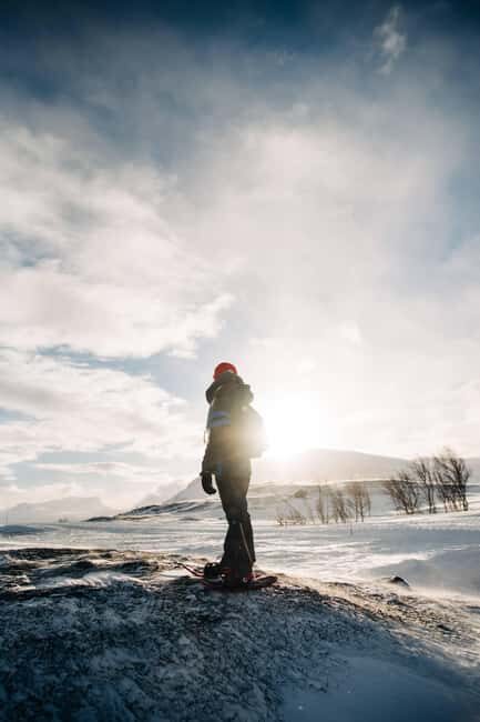 Kiruna: Daytime Snowshoe Hike - Is It Worth the Price?