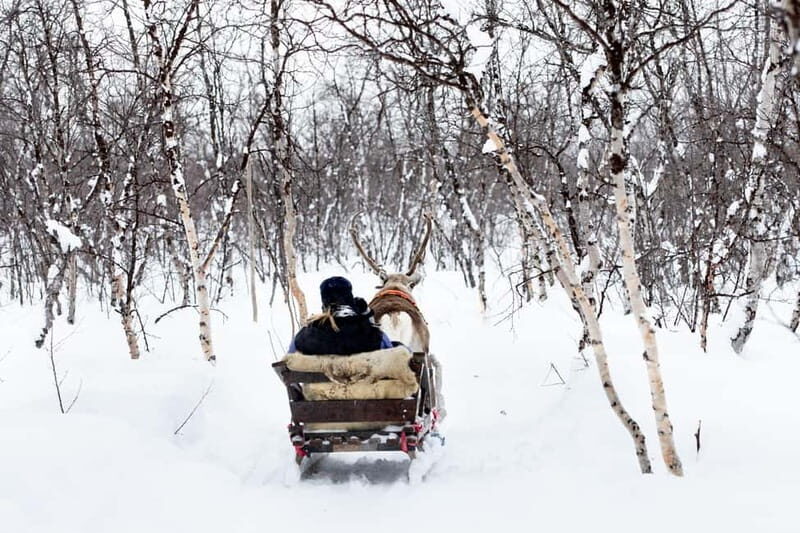 KIRUNA: Reindeer Sled Ride in the Countryside - Authenticity and Value