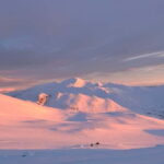 Klimpfjäll: Southern Lapland Snowmobile Tour with Fika - Who Is This Tour Best For?